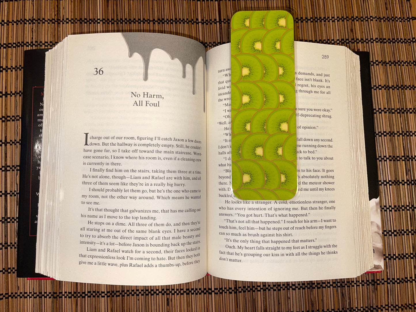 Kiwi Slice Bookmark